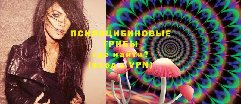 mega сайт  Выборг  Галлюциногенные грибы MAGIC MUSHROOMS 